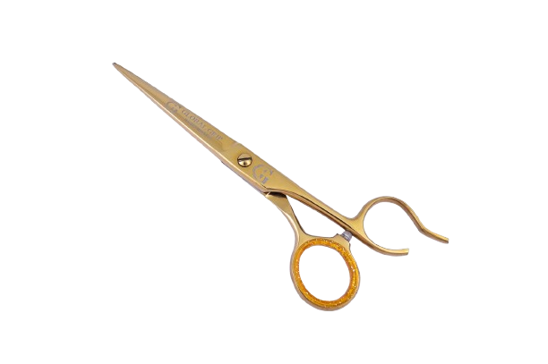 dsc 8694 removebg preview