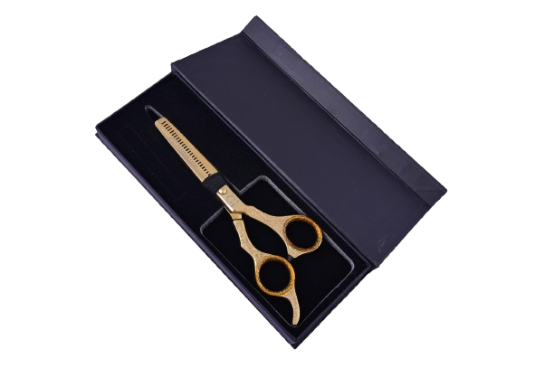 dsc 8739 removebg preview