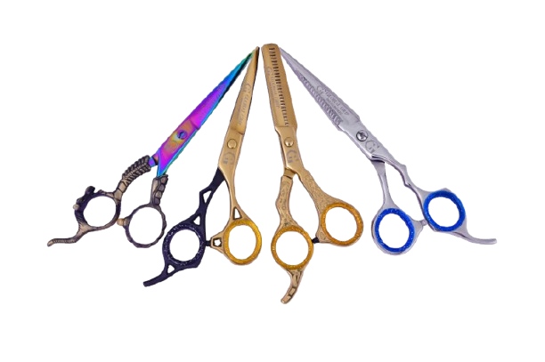 dsc 8771 removebg preview